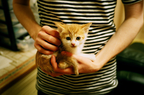 乐鱼体育官网入口-埃弗顿依靠定位球打破场上僵局，埃弗顿什么水平