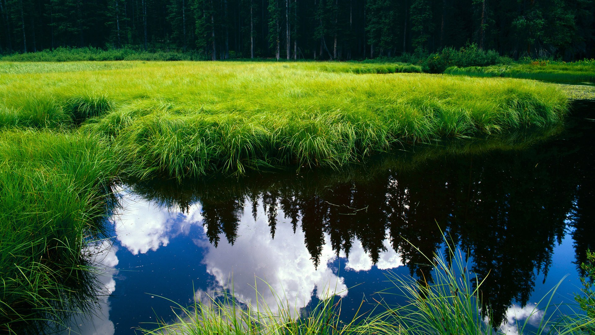 新赛季球衣设计融合传统文化元素提升视觉传播影响力,2021赛季球衣有芯片吗